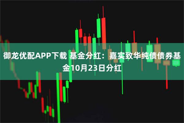 御龙优配APP下载 基金分红：嘉实致华纯债债券基金10月23日分红