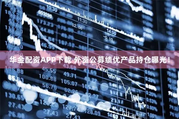 华金配资APP下载 外资公募绩优产品持仓曝光！