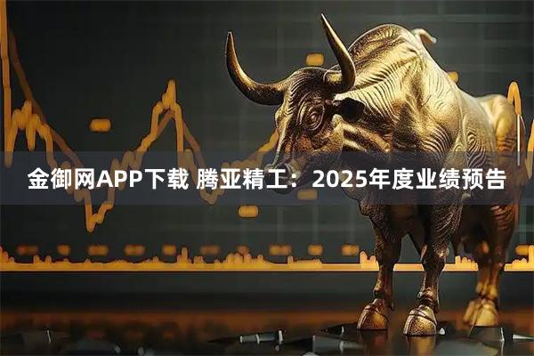 金御网APP下载 腾亚精工：2025年度业绩预告
