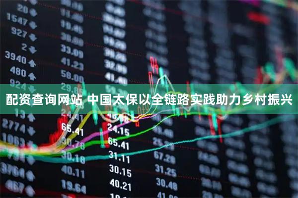 配资查询网站 中国太保以全链路实践助力乡村振兴