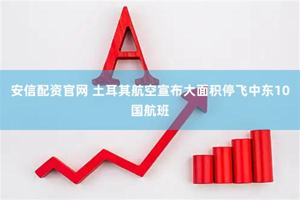 安信配资官网 土耳其航空宣布大面积停飞中东10国航班