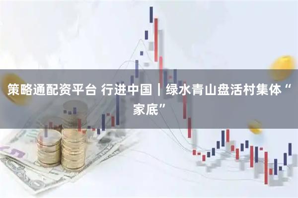 策略通配资平台 行进中国｜绿水青山盘活村集体“家底”